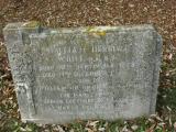 image of grave number 229086